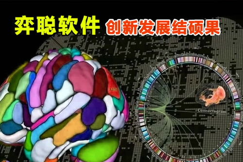 弈聰軟件 科研創(chuàng)新結(jié)碩果，信息安全軟件開發(fā)再添新動(dòng)能